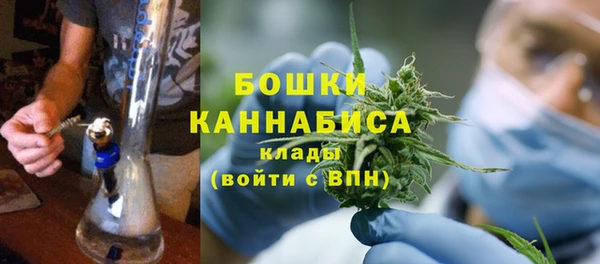 гидра Протвино