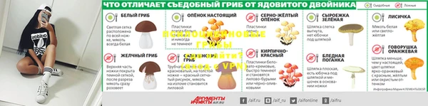 гидра Протвино
