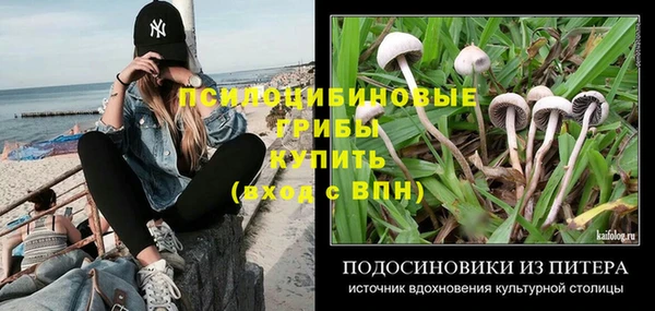 сатива Абаза