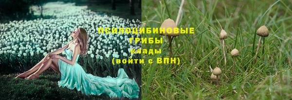 сатива Абаза