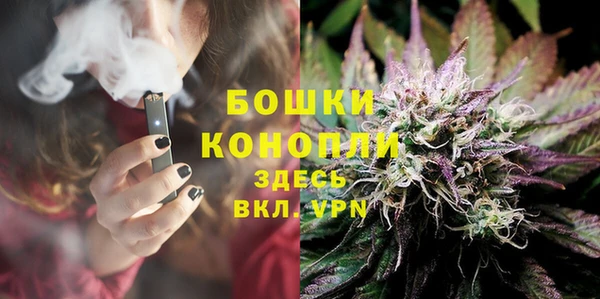 сатива Абаза